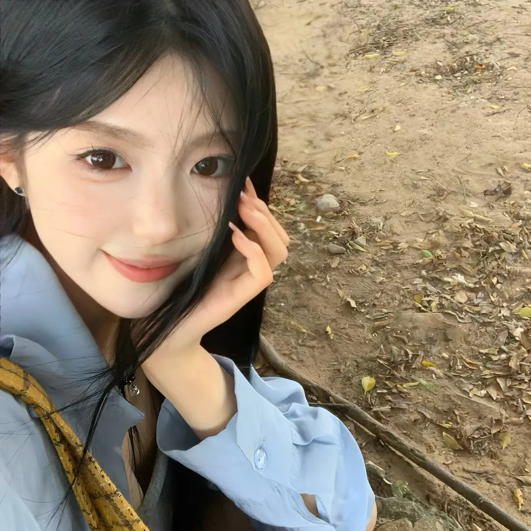与鲨同泳